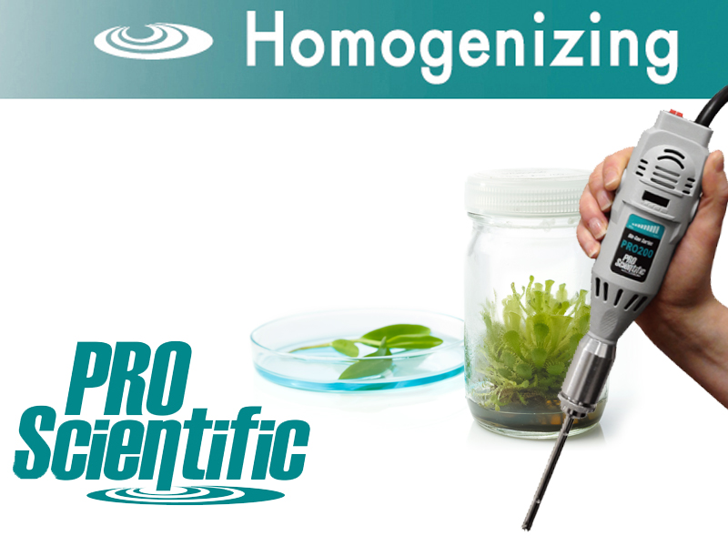 Plant homogenization